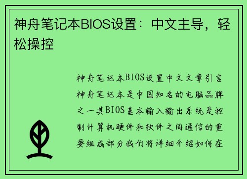 神舟笔记本BIOS设置：中文主导，轻松操控